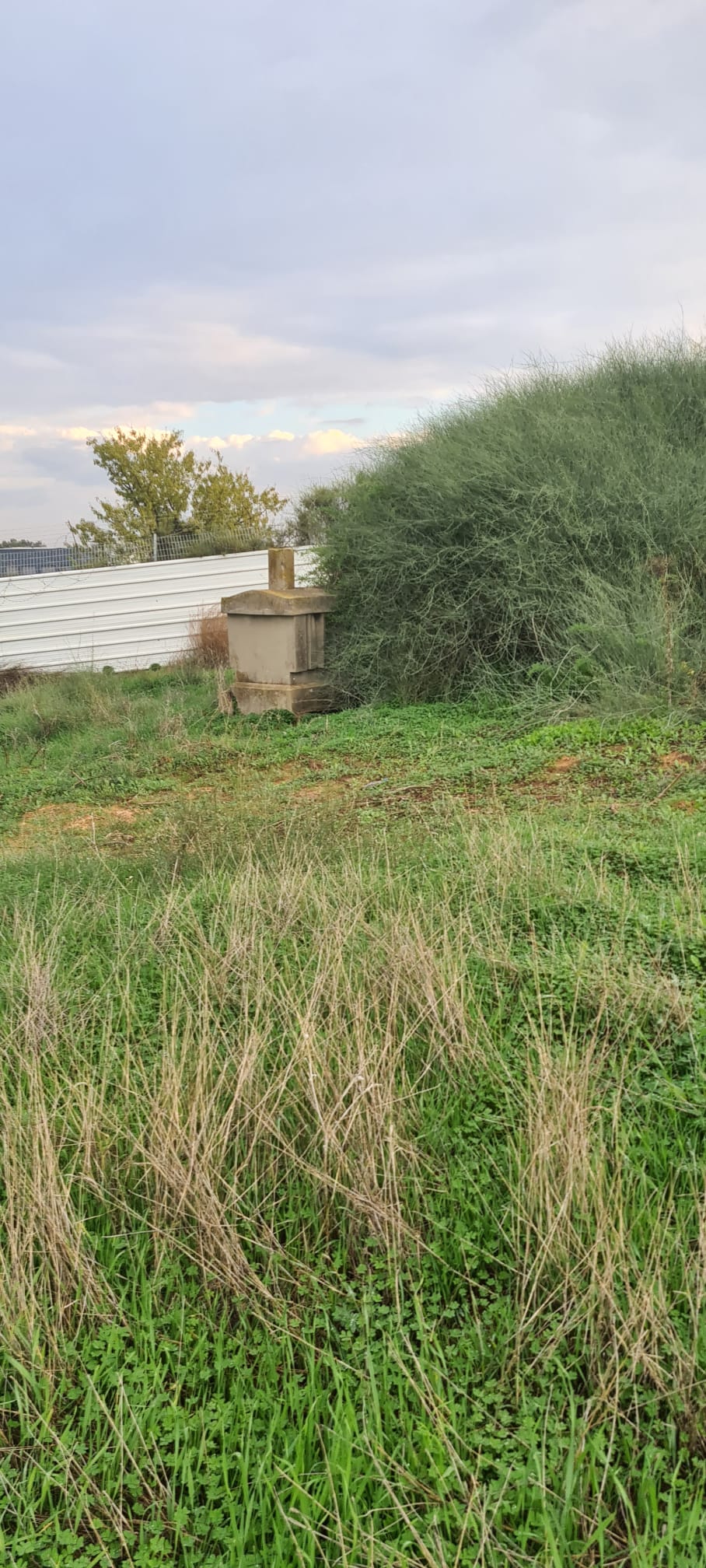 WhatsApp Image 2022-12-01 at 11.27.02 AM (2).jpeg